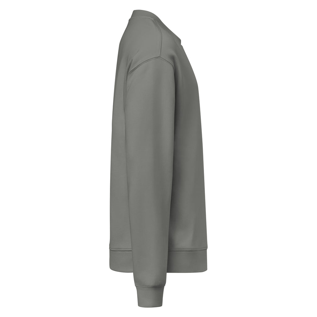 Sweat gris anthracite DZ Collection, vue de profil droit